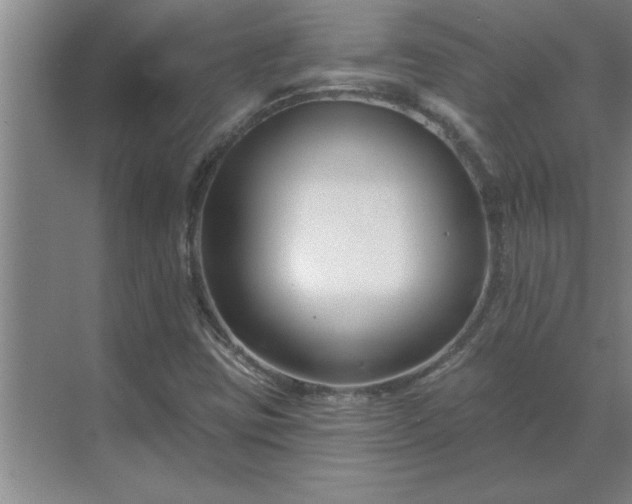 X0000069821403200605261802