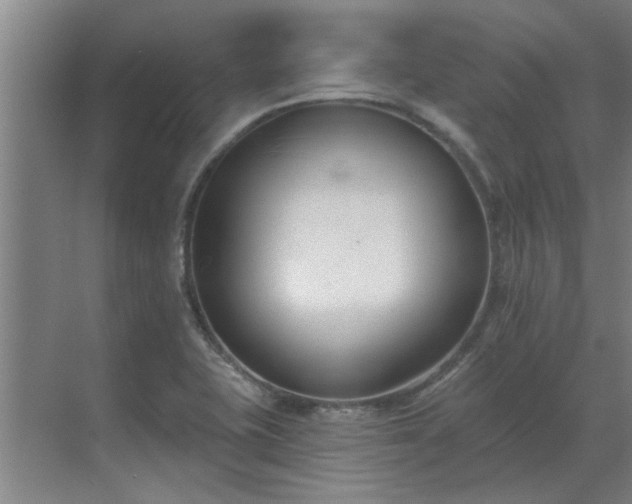 X0000069821415200605261802