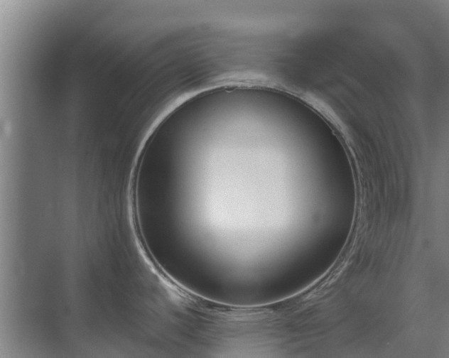 X0000069821440200605261803