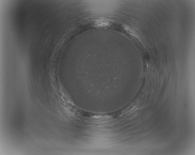 X0000069821441200605261802