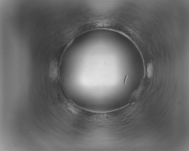 X0000069821444200605261802