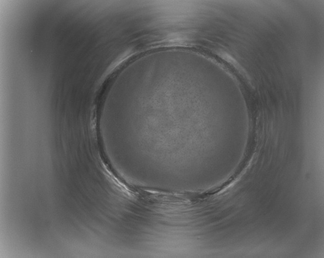 X0000069821450200605261802