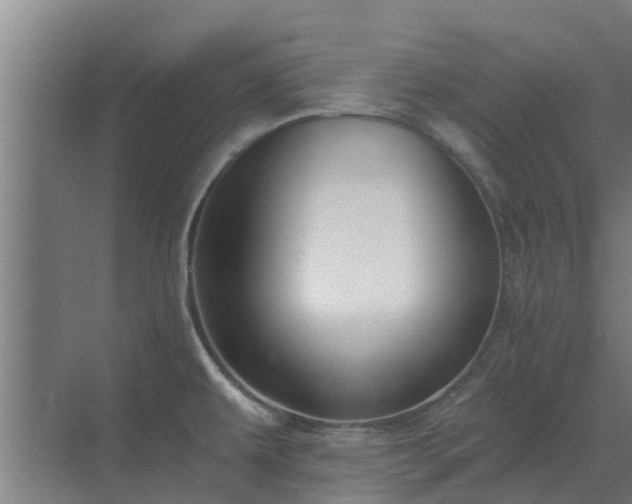 X0000069821479200605261801