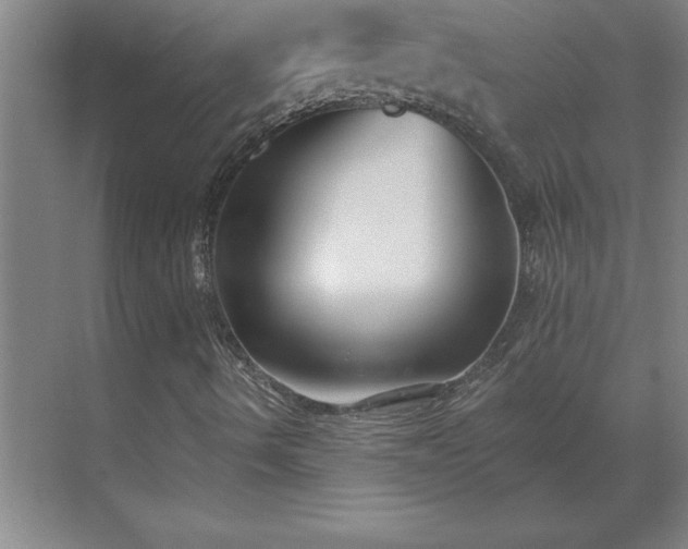 X0000069821490200605261800