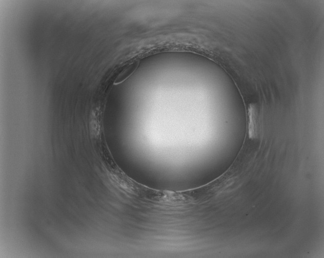 X0000069821491200605261800