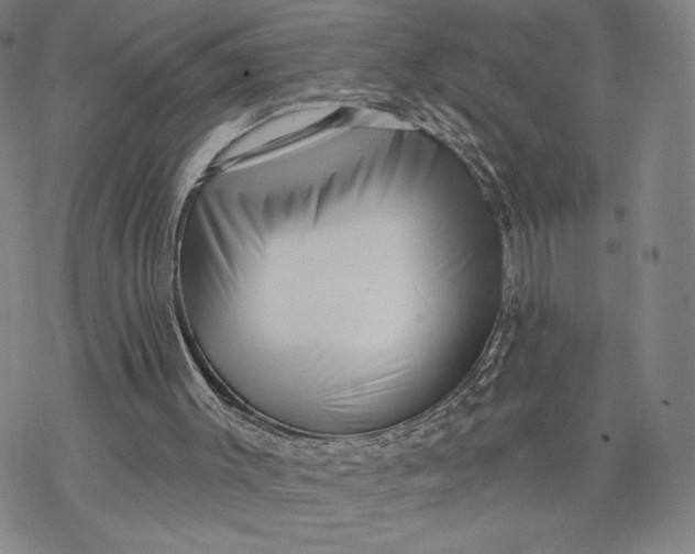 X0000069820003200606021323