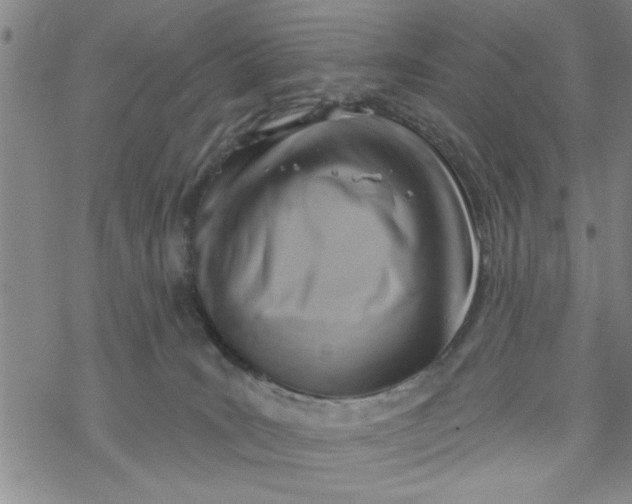 X0000069820035200606021322