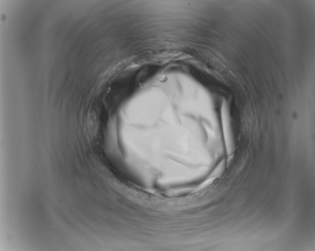 X0000069820043200606021322