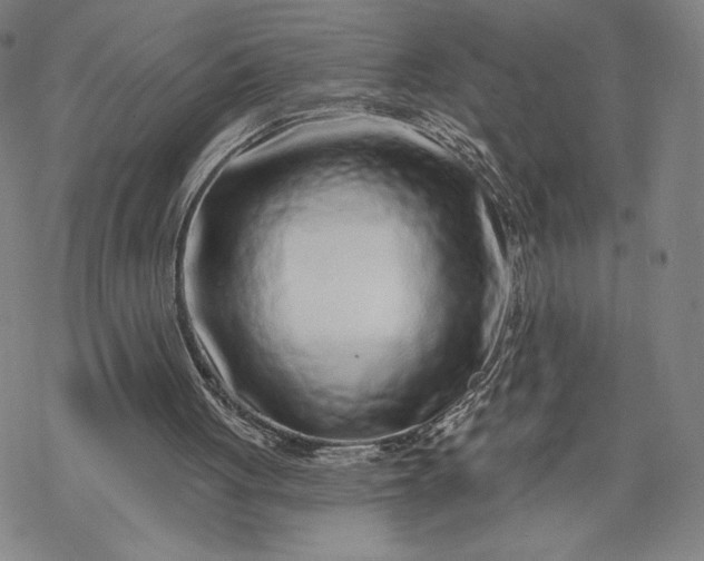 X0000069820051200606021321
