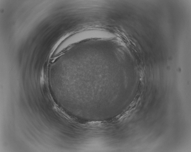 X0000069820052200606021321