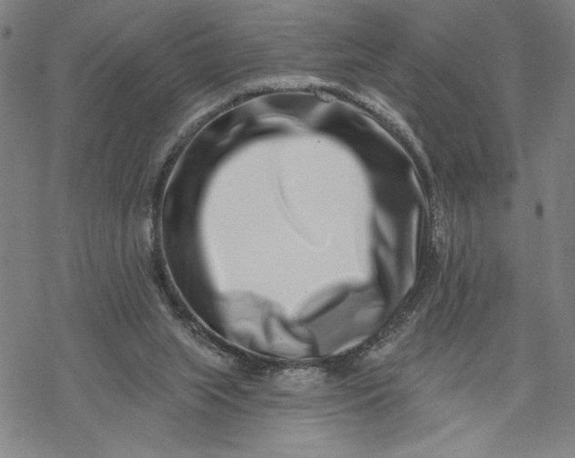 X0000069820063200606021322
