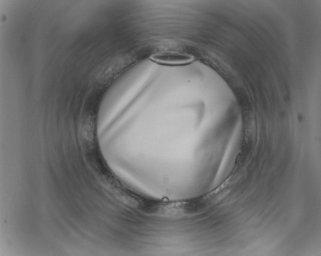 X0000069820078200606021322
