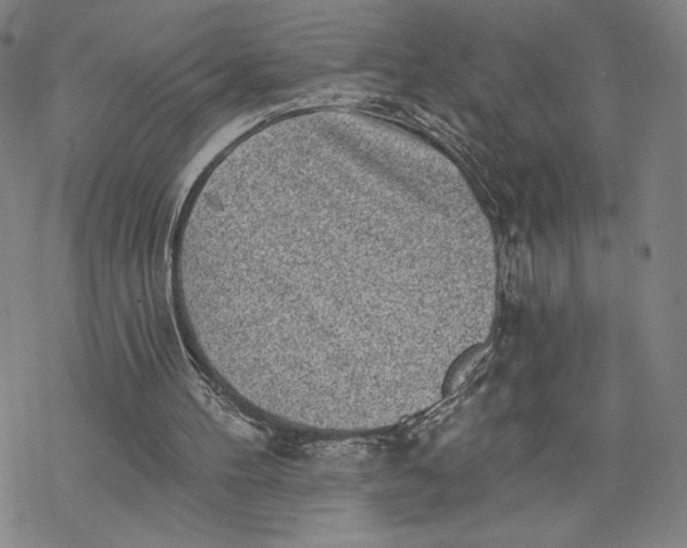 X0000069820100200606021321