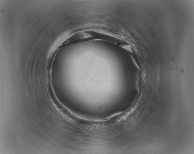 X0000069820101200606021321