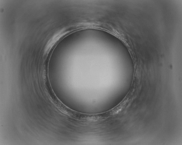 X0000069820103200606021321