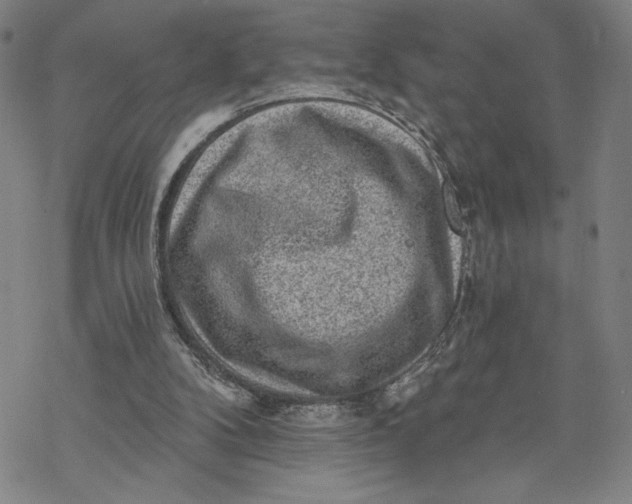 X0000069820104200606021321