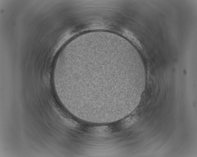 X0000069820108200606021321