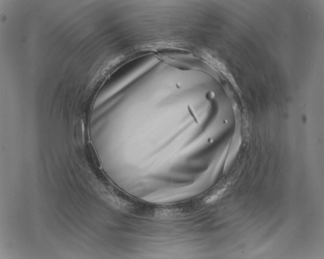X0000069820109200606021321