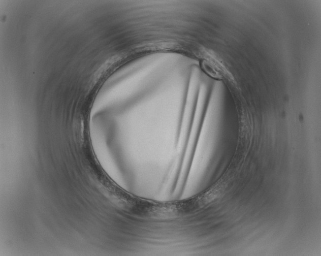 X0000069820110200606021321