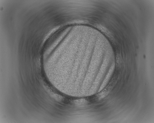 X0000069820112200606021321