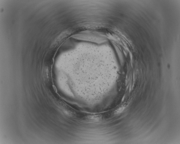 X0000069820117200606021321
