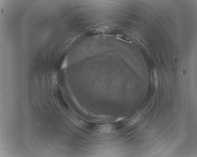 X0000069820127200606021321
