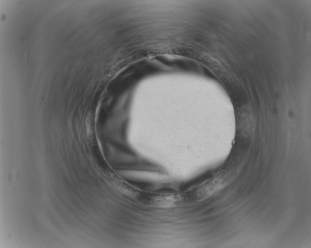 X0000069820131200606021321