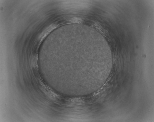 X0000069820146200606021320