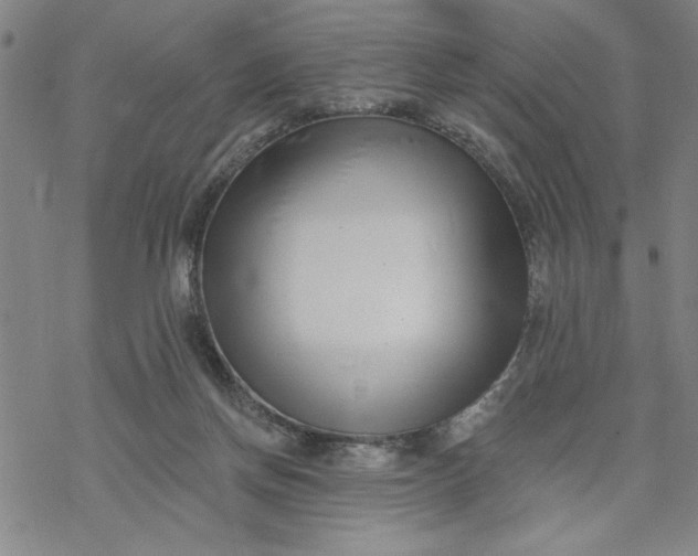 X0000069820166200606021320