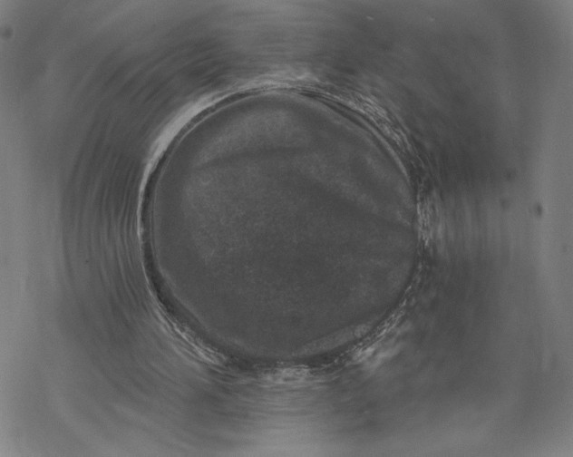 X0000069820196200606021320
