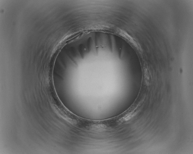 X0000069820203200606021320