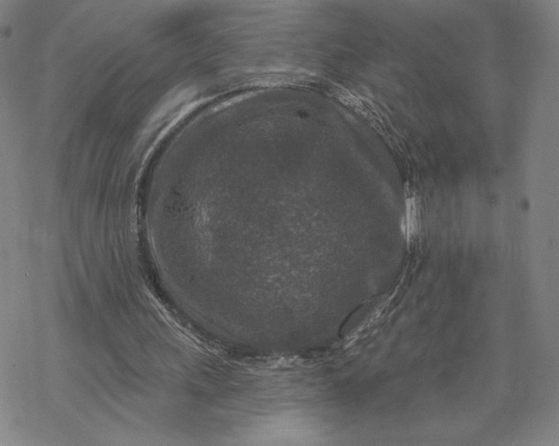 X0000069820243200606021318