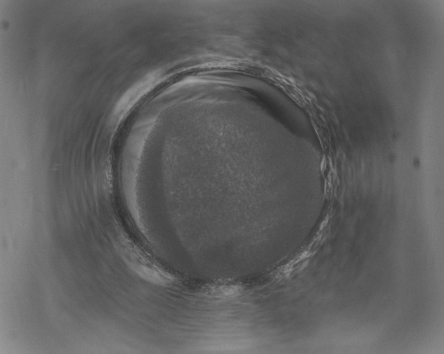 X0000069820247200606021318