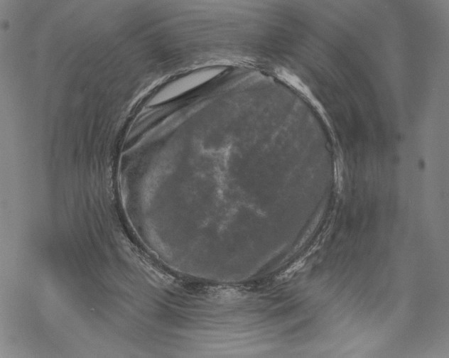 X0000069820249200606021318