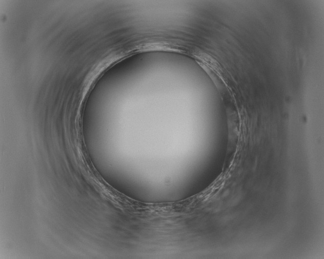 X0000069820289200606021318