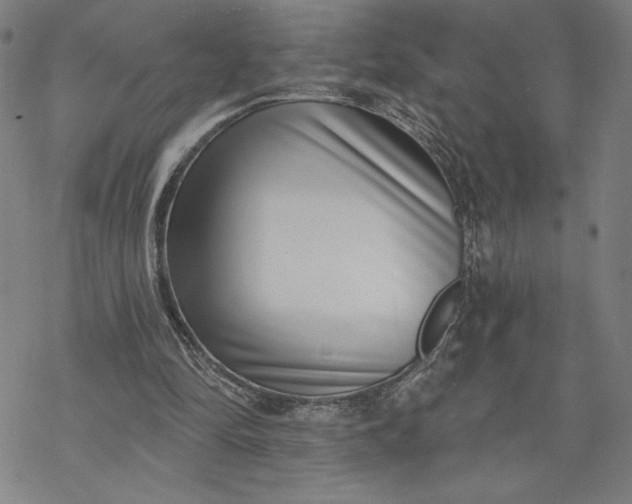 X0000069820294200606021318