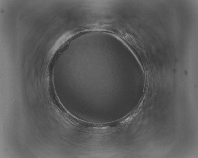 X0000069820295200606021318