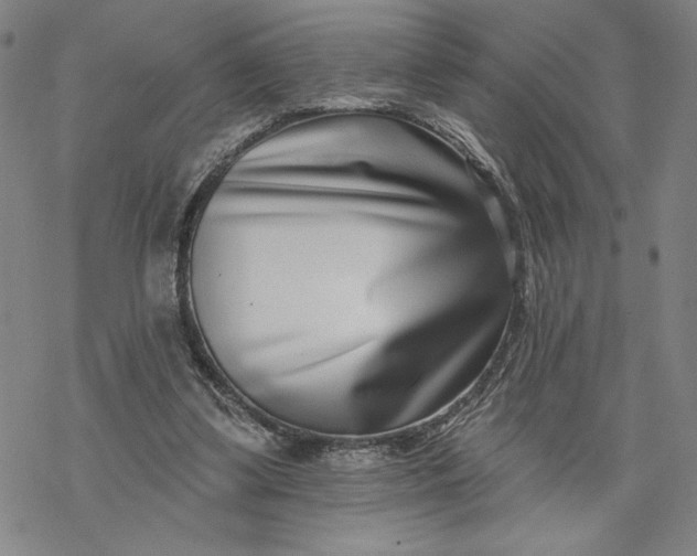 X0000069820299200606021318