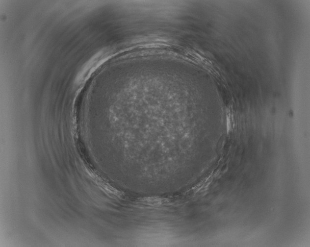 X0000069820339200606021317