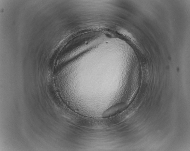 X0000069820355200606021317