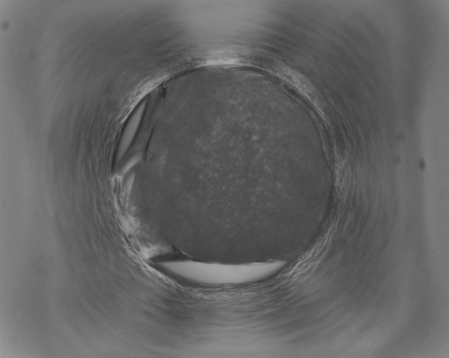 X0000069820385200606021317