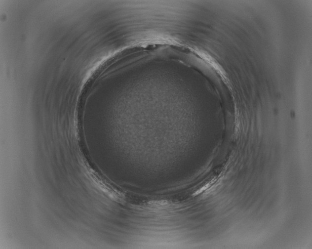 X0000069820391200606021317