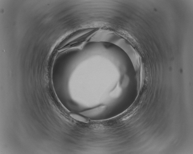X0000069820392200606021317