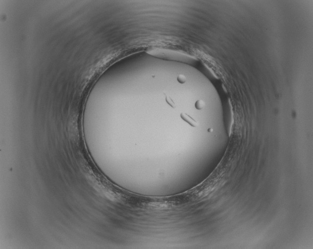 X0000069820394200606021317
