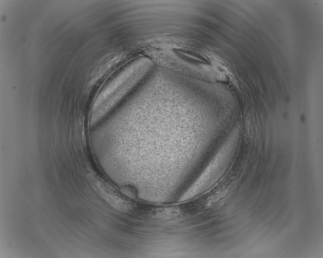 X0000069820398200606021316