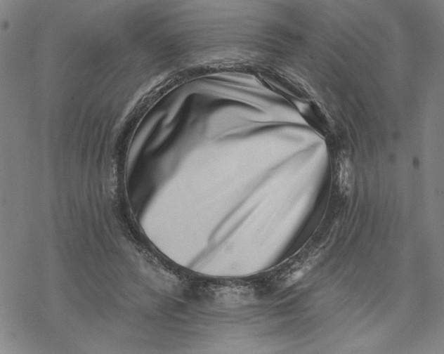 X0000069820400200606021316