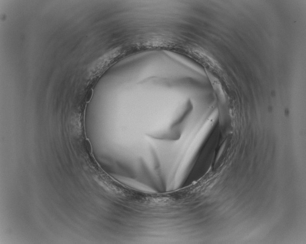 X0000069820401200606021316
