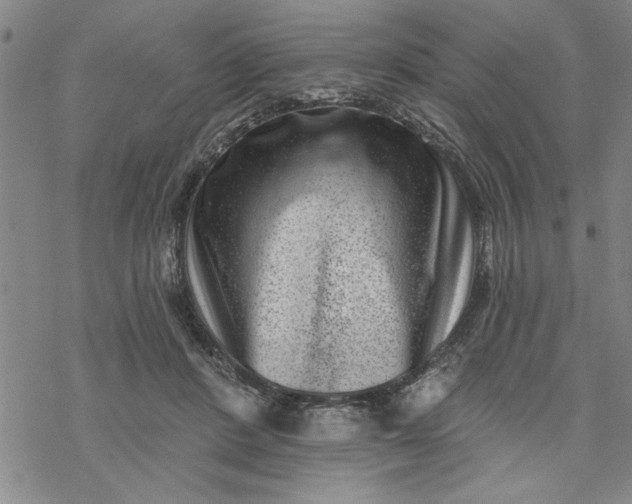 X0000069820408200606021316