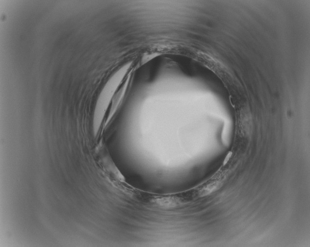 X0000069820417200606021316