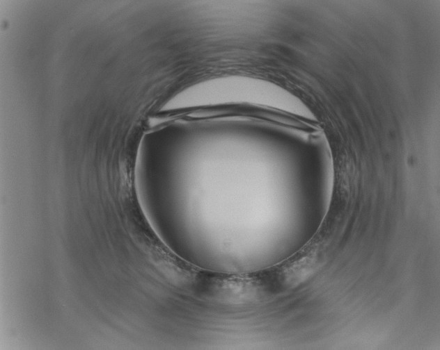 X0000069820420200606021316